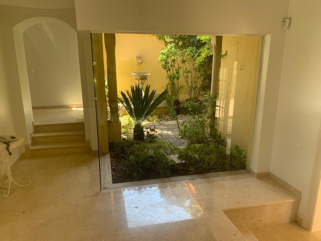 montra divisória jardim interior